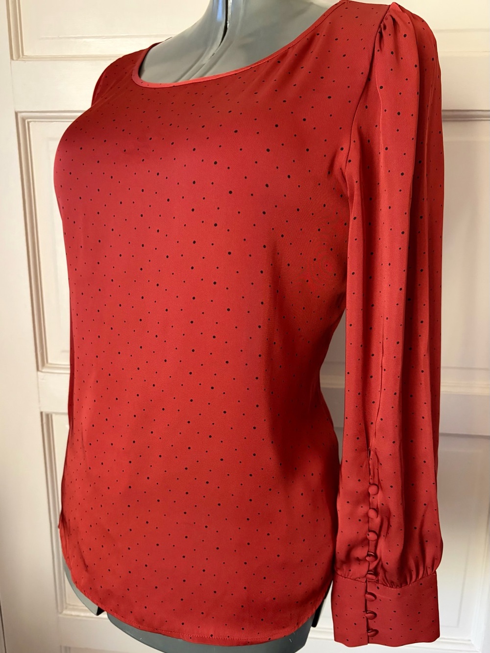 Express Red Dot Long-Sleeve Blouse